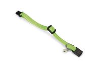 Beeztees - kittenhalsband - nylon - fel groen - 23x0,8x0,2 cm - thumbnail