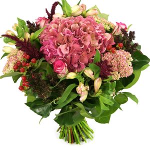 Stralend middelpunt
Hortensia en bloemen