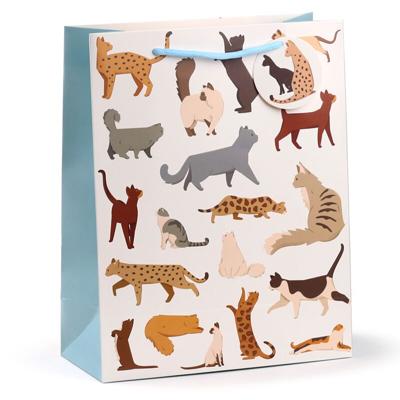 Feline Fine Katten - Cadeautasje Large