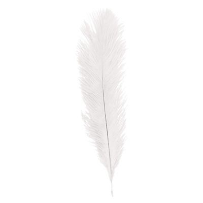 Struisvogelveer/sierveer - creme wit - 55-60 cm - decoratie/hobbymateriaal