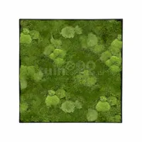 Mosschilderij Bol- en Platmos 60x60cm