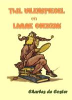 Tijl Uilenspiegel en Lamme Goedzak (Paperback)