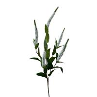 Kunstbloem veronica 52cm wit