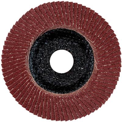 Metabo 624395000 Lamellenschijf Boordiameter 22.23 mm 10 stuk(s)