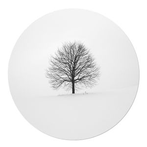 Muurcirkel Tree in Winter White PVC 60 Geen