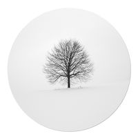 Muurcirkel Tree in Winter Aluminium 60 Geen - thumbnail