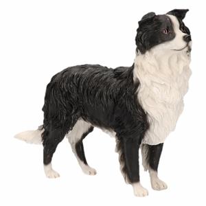 Honden beeldje - Border Collie - 14 cm - beelden hond