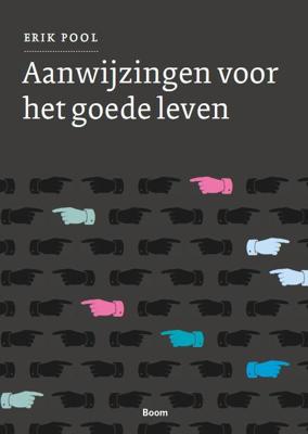 Aanwijzingen voor het goede leven (Paperback)