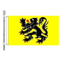 Vlag van Vlaanderen met vlaggenstok set - multi - 90 x 150 cm - feest