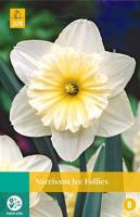 Narcissus Ice Follies 4 bollen - Jub