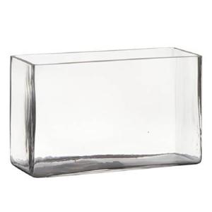 Hakbijl Glass Vaas - transparant - rechthoek - 25 x 10 x 15 cm