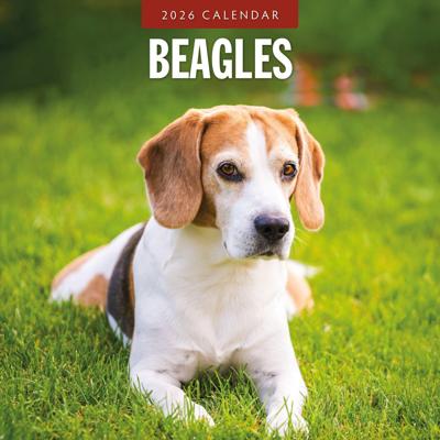 Beagle Kalender 2026