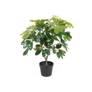 present time - Artificial Plant Shefflera