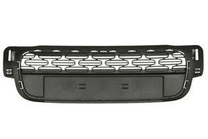 Radiateurgrille 6502070531912P