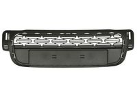 Radiateurgrille 6502070531912P