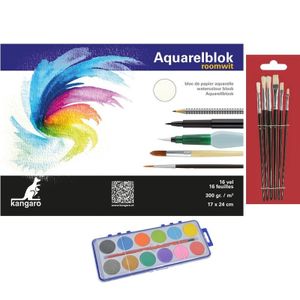 Hobby/knutselen verfset 12 kleuren op waterbasis en 7 kwasten en een aquarelblok/tekenblok 24 x 17 cm   -