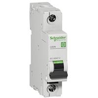 Schneider Electric M9F11102 Zekeringautomaat
