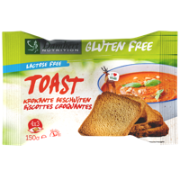 Damhert Gluten Free Lactose Free Toast 150 GRAM