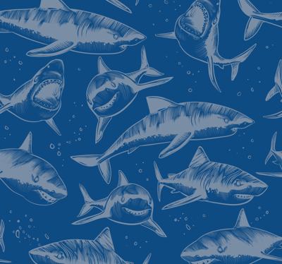 Dieren behang Woedende haaien