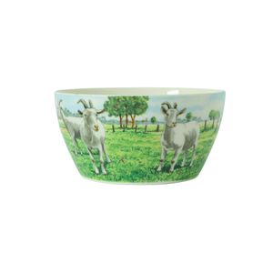 Wiebe van der Zee kom 13 cm geit