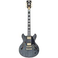 D'Angelico Excel Mini DC Black Dog semi-akoestische gitaar met koffer