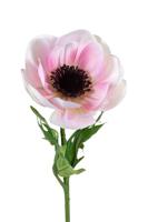 Anemoonsteel l45 cm roze kunstbloem zijde nepbloem - Louis maes