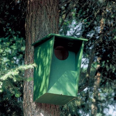 Nestkast Bosuil Nestkast Bosuil