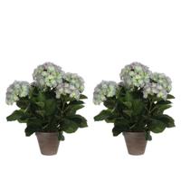 Mica Decorations Kunstplant Hortensia - 2x - groen/paars - 45 cm - in pot Mica Decorations Kunstplant Hortensia - 2x - groen/paars - 45 cm - in pot
