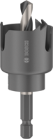 Bosch Accessoires Gatzaagset met as voor hout en gipsplaat | 30 x 27 mm - 2608594491