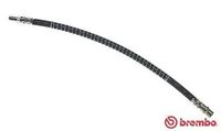 Remslang T50064