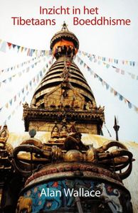 Inzicht in het Tibetaans boeddhisme - Alan Wallace, Steven van Wilhelm - ebook