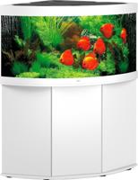 Juwel aquarium Trigon 350 LED met filter wit - Gebr de boon