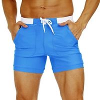 Voor heren Lange zwembroeken Zwemshorts Boardshorts Badpak Trekkoord Mesh voering Met zakken Zwemmen Surfen Strand Watersport Effen Zomer Lightinthebox - thumbnail