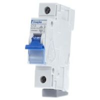 DLS 6H C13-1 6 kA  - Miniature circuit breaker 1-p C13A DLS 6H C13-1 6 kA