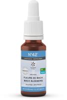Lemonpharma Bach Bach bloesems mengeling 42 vertrouwen bio