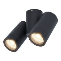 HOFTRONIC™ Silva plafondspot - Plafondverlichting - Kantelbaar - 2 spotlights - 4000K neutraal wit - Wandspot - IP65 waterdicht - Zwart