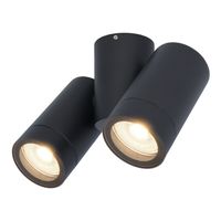 Silva plafondspot - Plafondverlichting - Kantelbaar - 2 spotlights - 4000K neutraal wit - Wandspot - IP65 waterdicht - Zwart