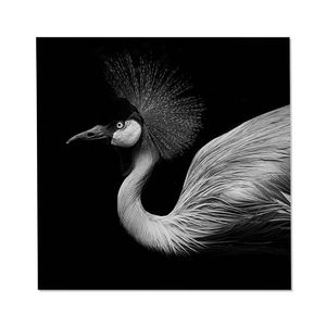 Schilderij op Paneel Beautiful Bird White PVC 20x20 Een Ophangplaat