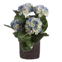 Kunstplant met plantenmand - Hortensia hdrangea - blauw - rotan pot - grijs Kunstplant met plantenmand - Hortensia hdrangea - blauw - rotan pot - grijs
