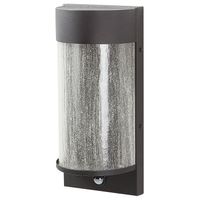 Beliani PHEPPIE - Outdoor LED wandlamp-Zwart-Glas