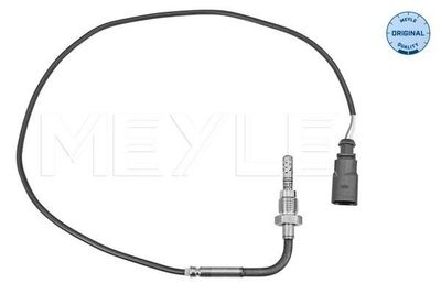 Sensor, uitlaatgastemperatuur 1148000165