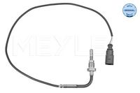 Sensor, uitlaatgastemperatuur 1148000165