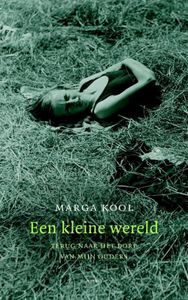 Een kleine wereld - Marga Kool - ebook