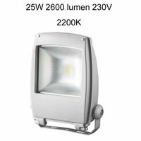 LED Fenon bouwlamp gebouwverlichting 25W 2200K 2600 lumen 120° oranje/geel licht keraf