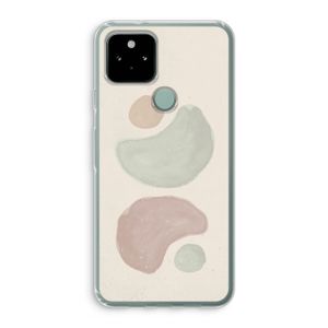 Geo #10: Google Pixel 5 Transparant Hoesje