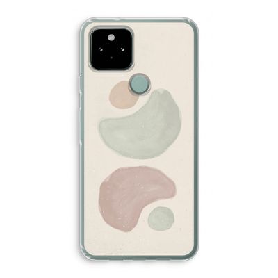 Geo #10: Google Pixel 5 Transparant Hoesje
