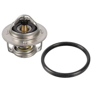 thermostaat 108076