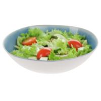 Serveerschaal/saladeschaal - D30 x H9 cm - kunststof - blauw - rond