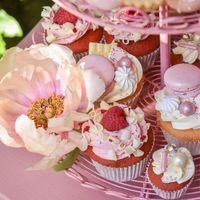 Pink Lush Box: Cake & Sweets (50 personen) Pink Lush Box: Cake & Sweets (50 personen)