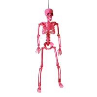 Halloween Decoraties Skelet 38 cm Roze